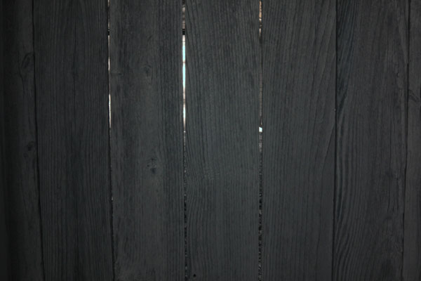 Nikon NIKKOR 20mm 1:3.5 Ai Lens (f/3.5) - base2photo: Digital